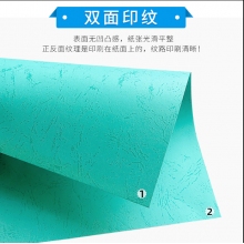 A4彩色皮纹纸 100张/包
